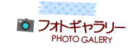 たかせゆづきのお仕事の経歴や実績の紹介